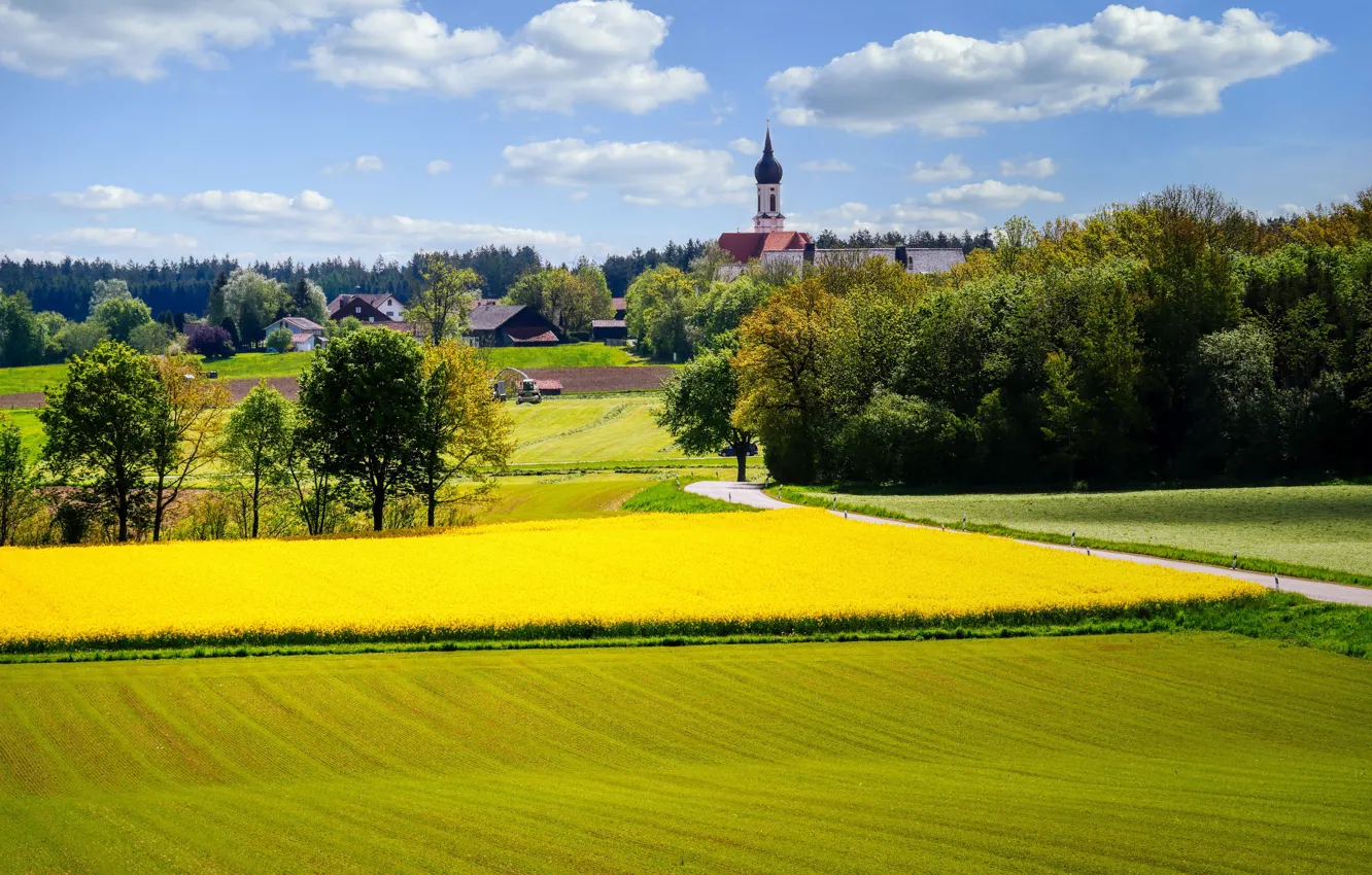 Photo wallpaper field, trees, Church, tractor