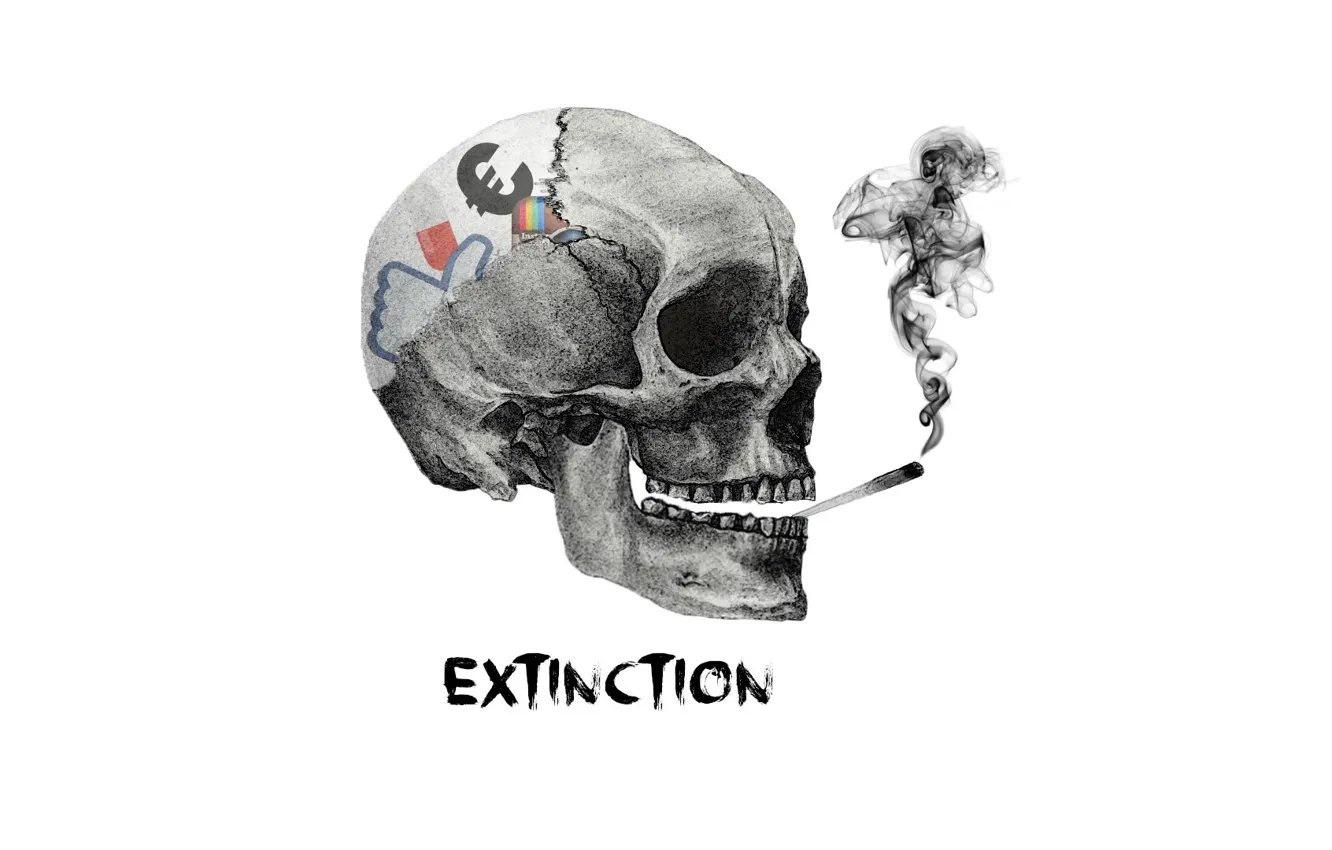 Photo wallpaper social, Network, extinction