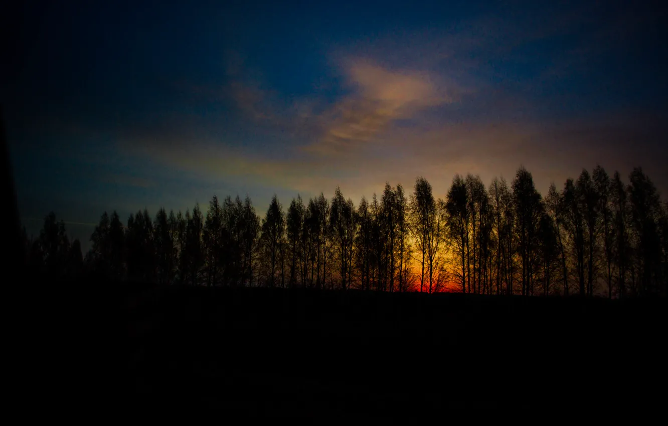 Photo wallpaper road, forest, landscape, nature, dawn, track
