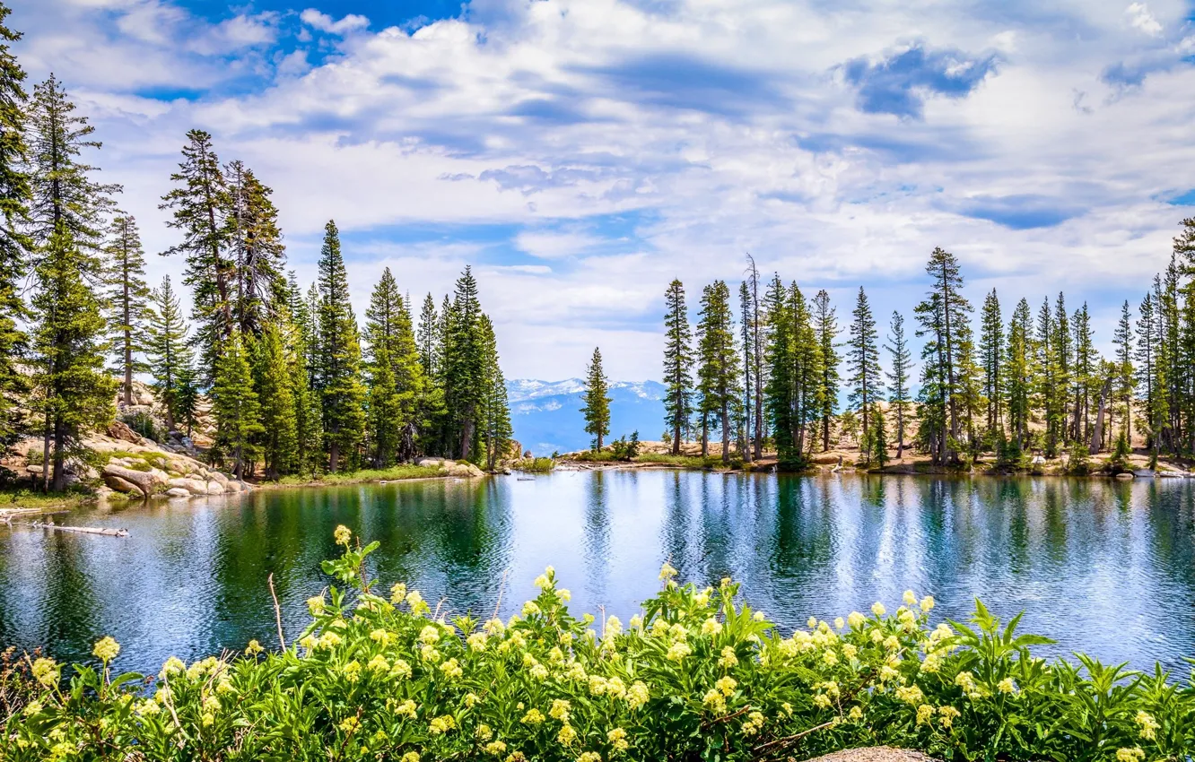 Photo wallpaper the sky, clouds, landscape, spring