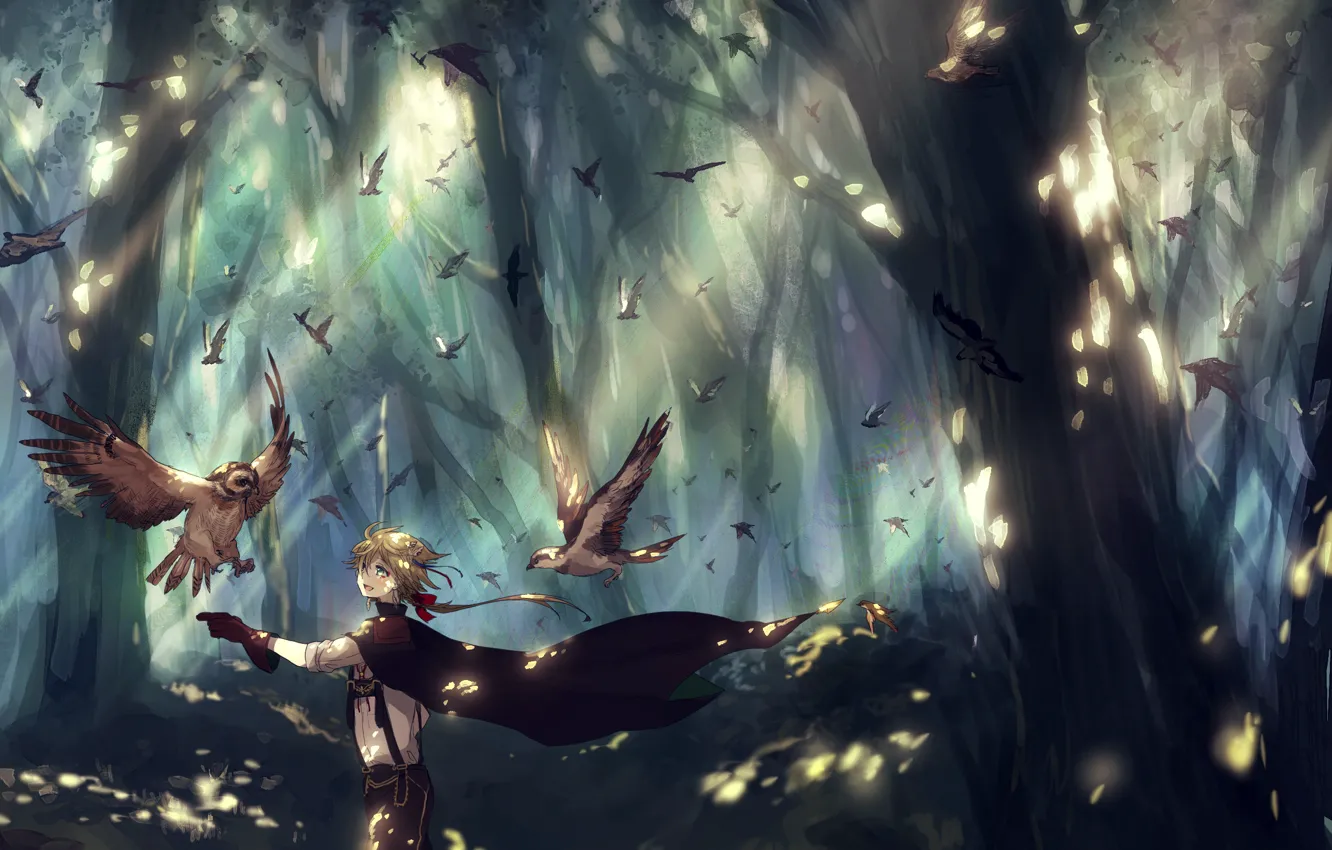 Photo wallpaper forest, trees, birds, nature, anime, art, guy, canarinu kmes