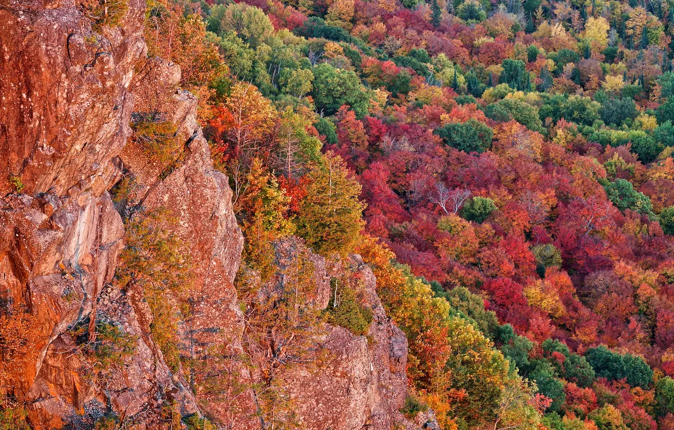 Photo wallpaper autumn, forest, trees, rocks, Michigan, USA, the crimson, Chippewa