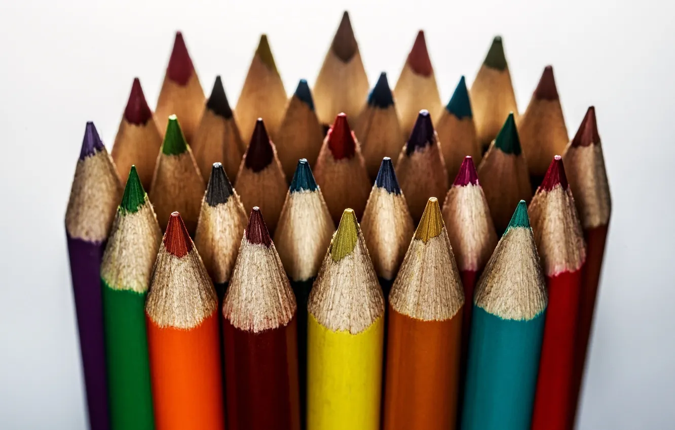 Photo wallpaper macro, light background, colored pencils