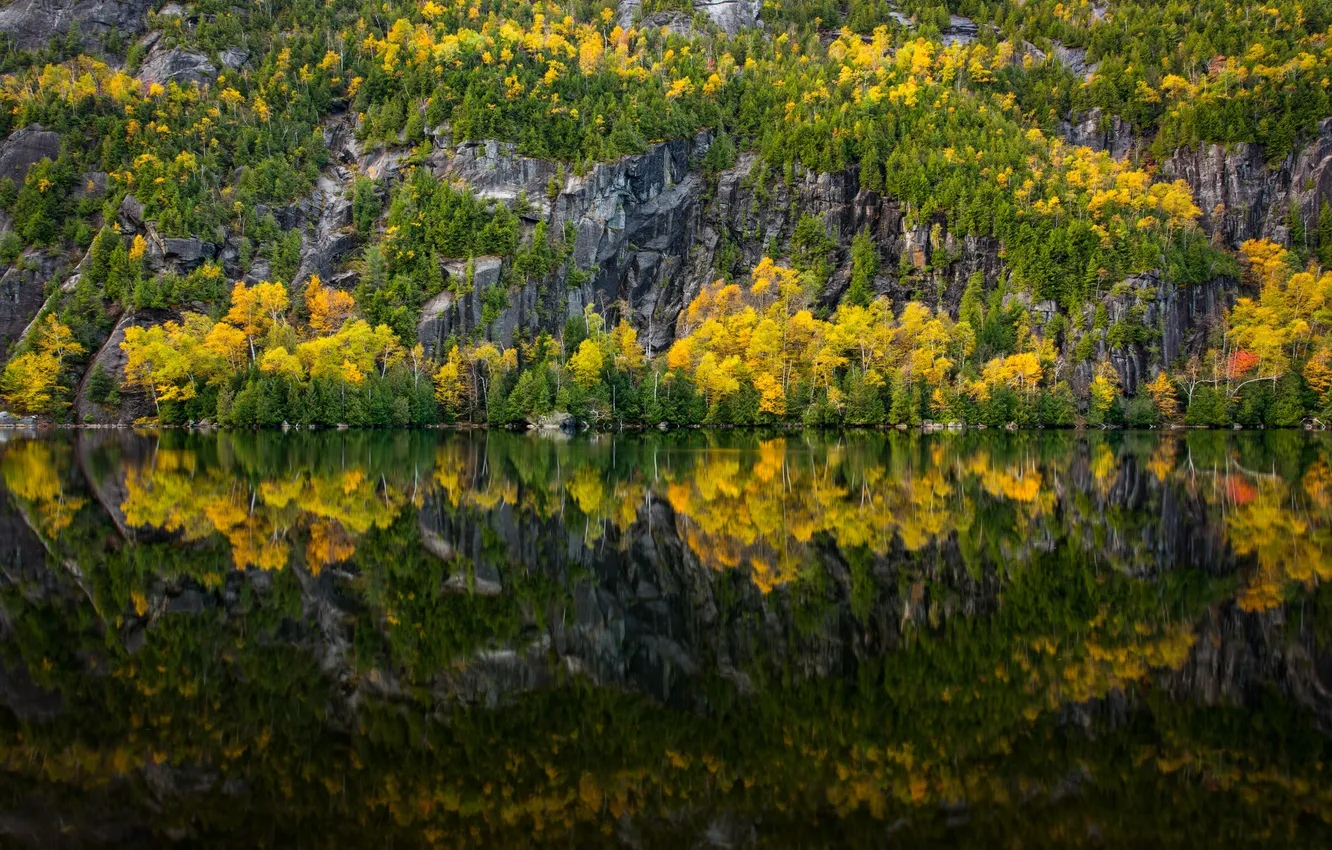 Photo wallpaper autumn, forest, trees, nature, lake, reflection, river