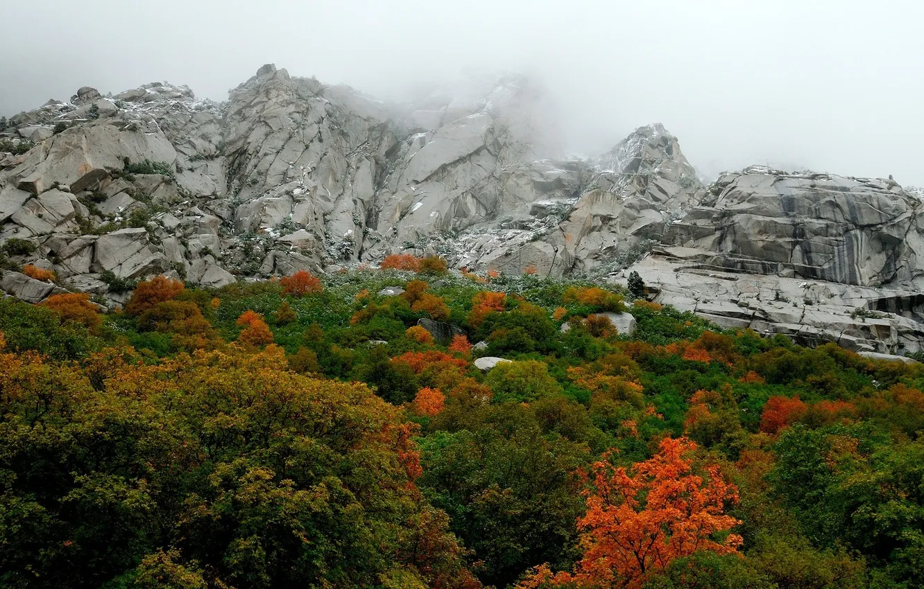 Photo wallpaper Mountains, Fog, Autumn, Rocks, Trees, Mountain, Forest, Leaves