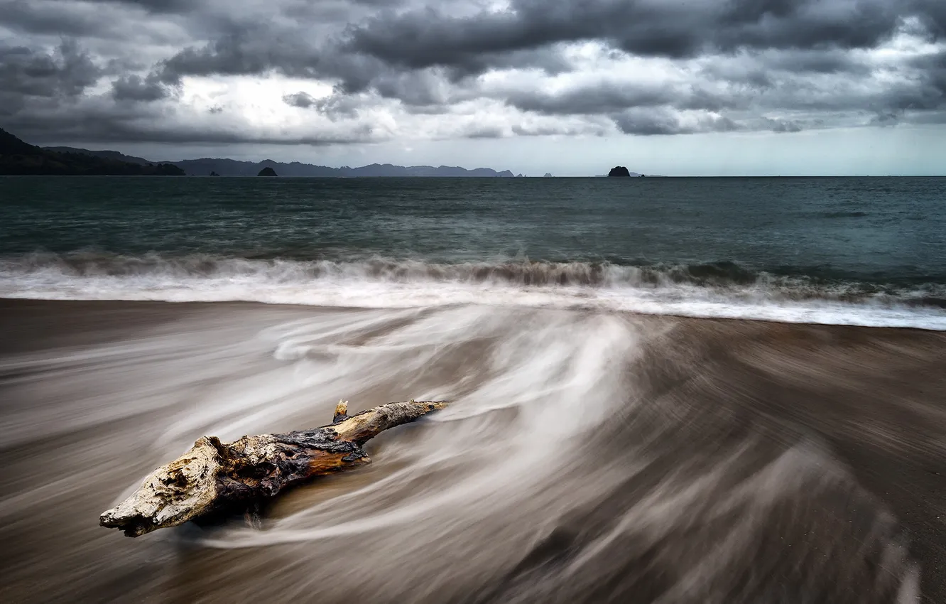 Photo wallpaper sea, shore, log