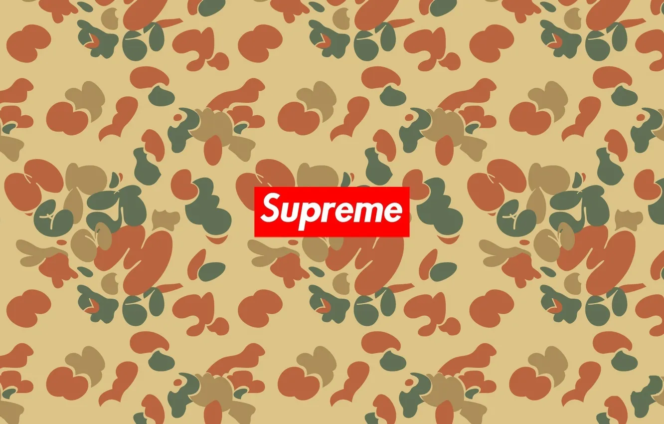 Photo wallpaper background, firm, supreme, clothes
