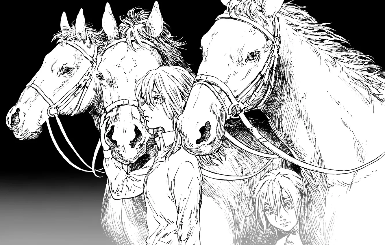 Photo wallpaper girl, game, long hair, woman, anime, horses, animal, horse