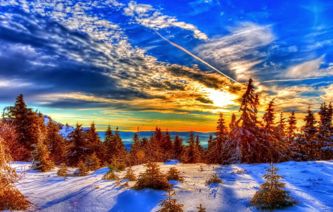 Photo wallpaper winter, the sky, snow, trees, nature
