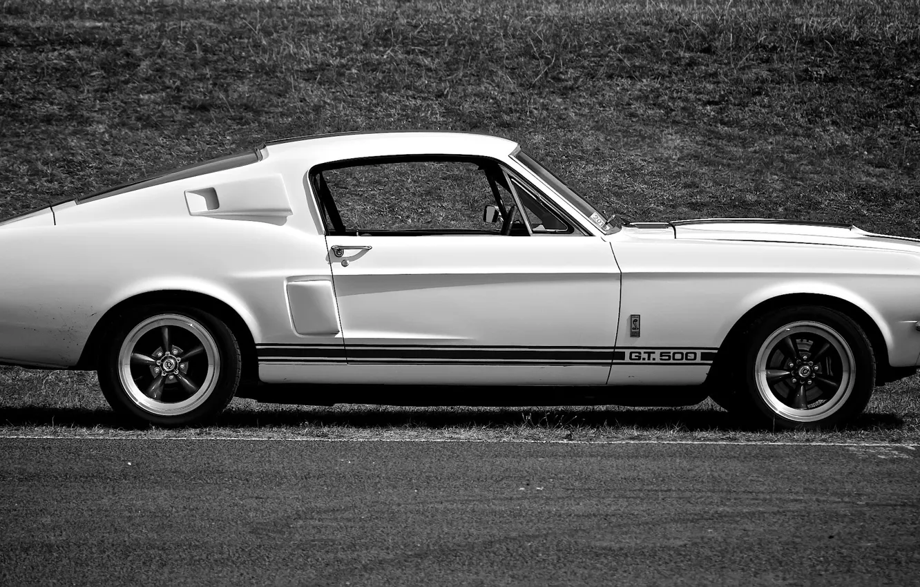 Photo wallpaper Mustang, Ford, Shelby, GT500, Muscle car
