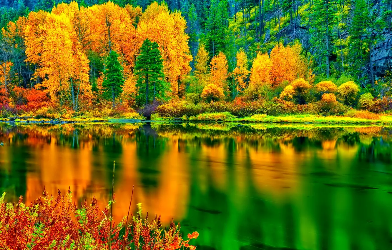 Photo wallpaper autumn, forest, trees, lake, reflection, slope