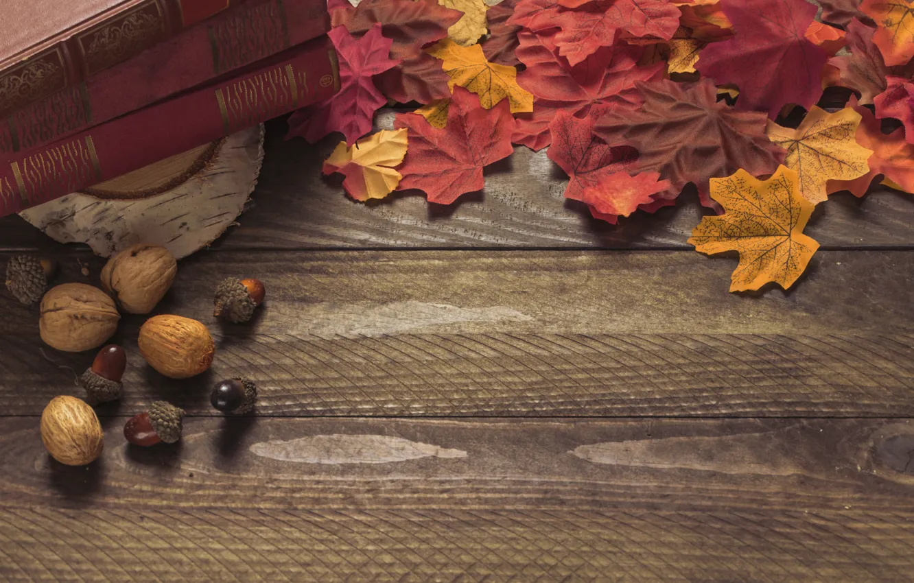 Photo wallpaper autumn, leaves, background, colorful, Board, wood, acorns, background
