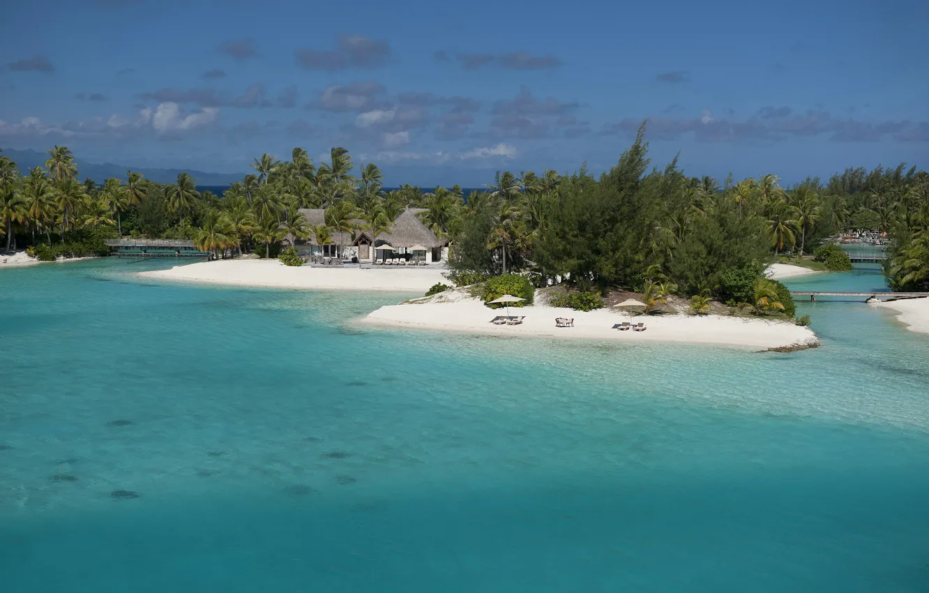 Photo wallpaper beach, palm trees, the ocean, resort, white sand, Bora-Bora, Blue lagoon, St-Regis