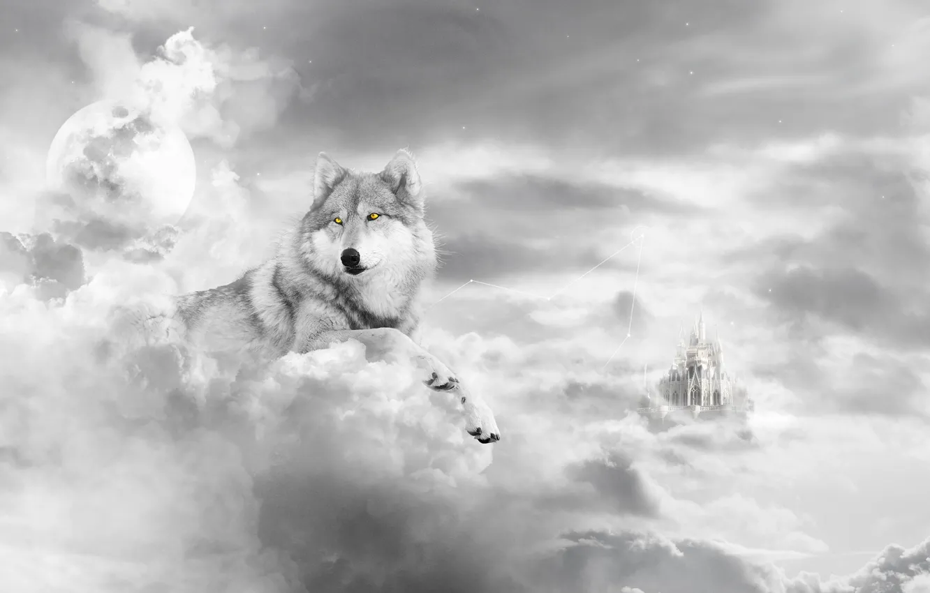 Photo wallpaper white, castle, wolf, art