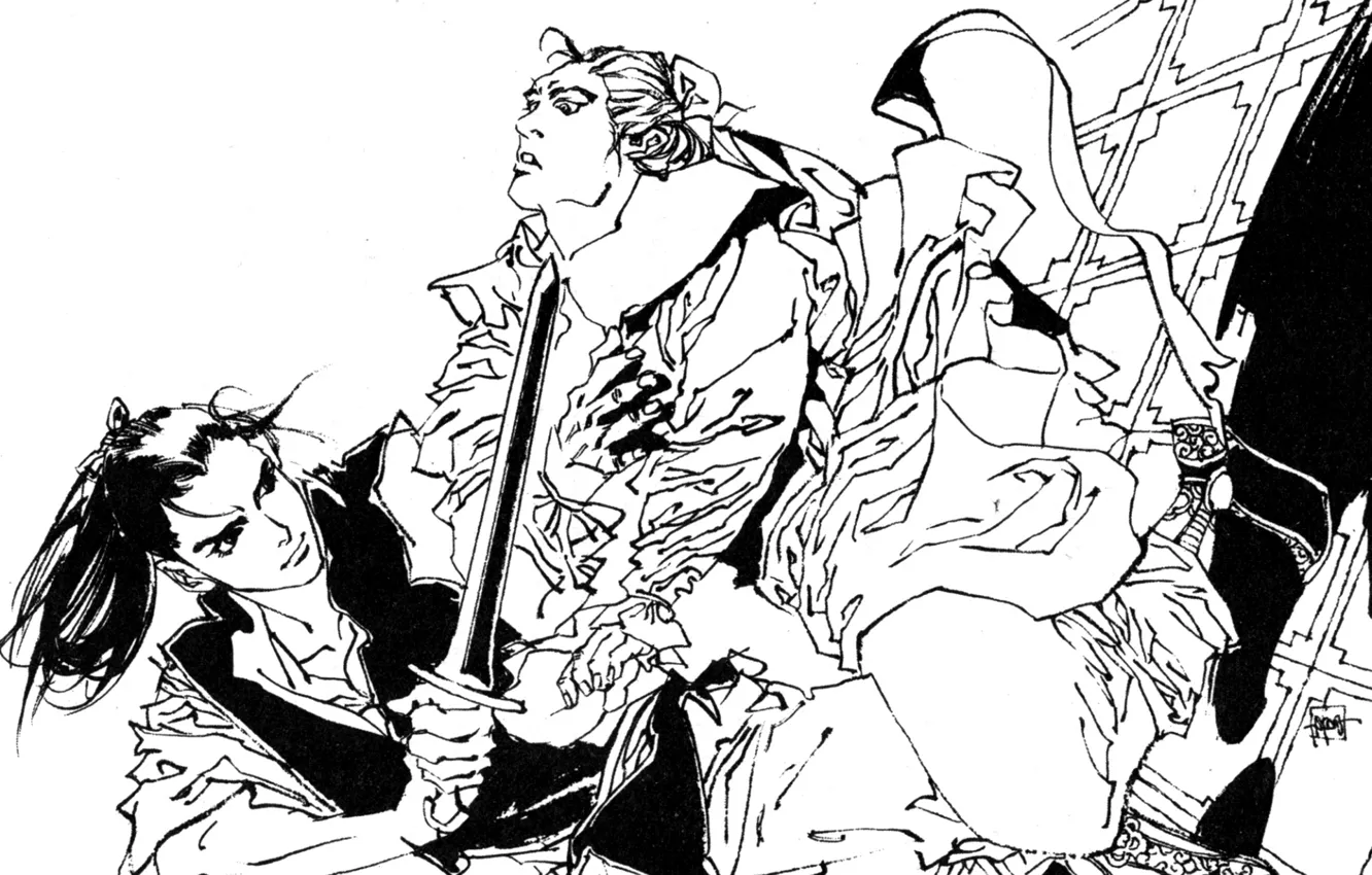 Photo wallpaper figure, sword, samurai, long hair, the fight, black and white picture, The Twelve Kingdoms, Shouryu