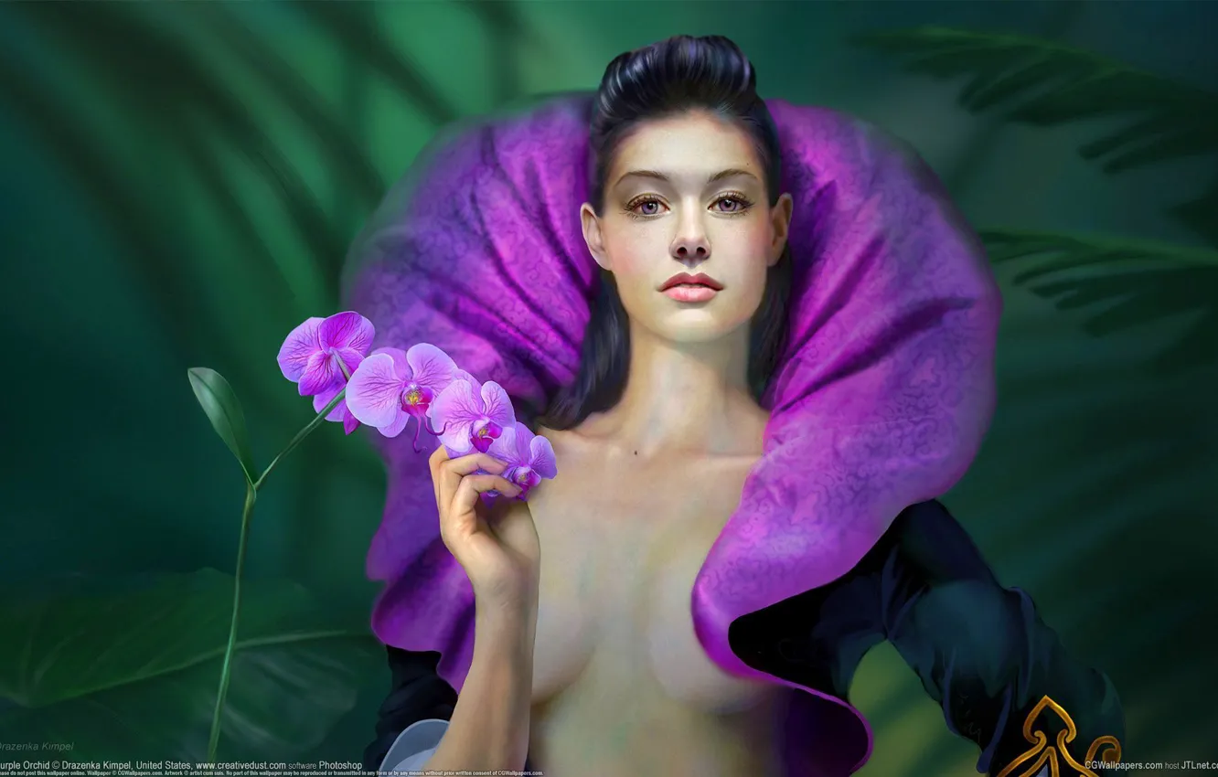 Photo wallpaper greens, girl, flowers, art, collar, Orchid, drazenka kimpel, falinopsis