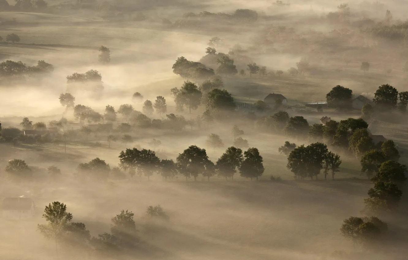 Photo wallpaper trees, fog, France, The massif Central