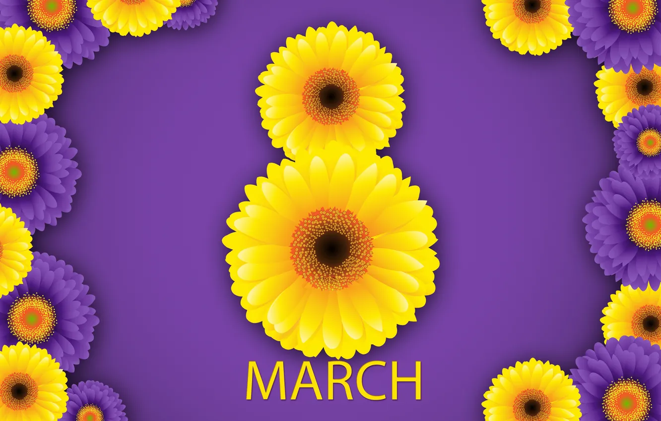 Photo wallpaper happy, March 8, chrysanthemum, flowers, women's day, women's day