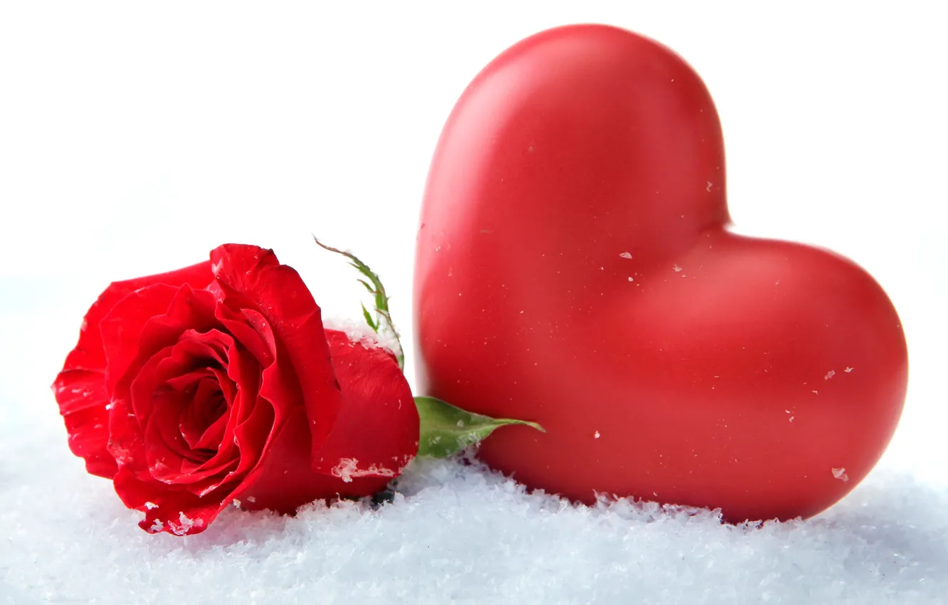 Photo wallpaper background, rose, heart, Valentine's day
