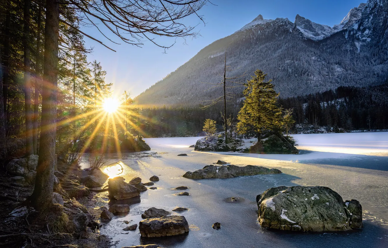 Photo wallpaper forest, river, Germany, sunshine, forest, river, Germany, sunlight