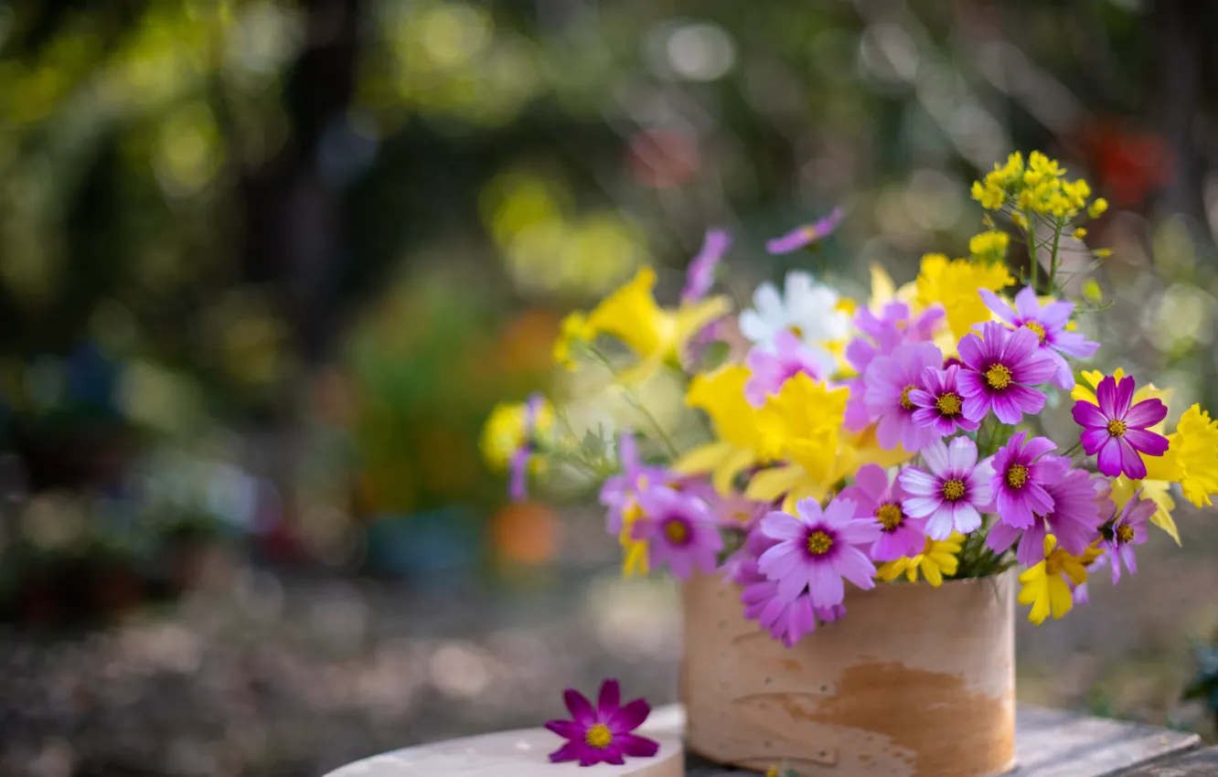 Photo wallpaper space, bouquet, bokeh, kosmeya