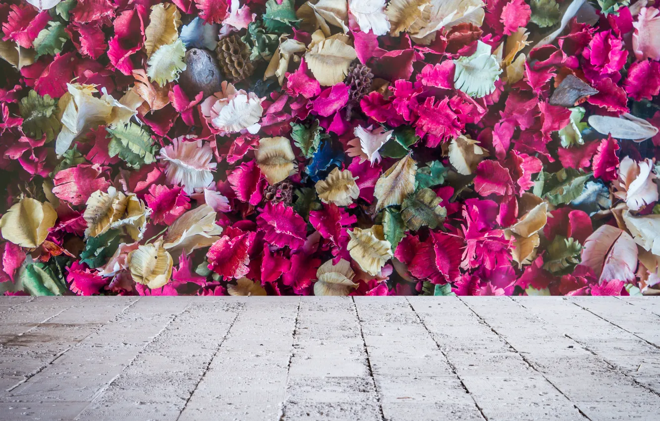 Photo wallpaper leaves, Board, petals, colorful, dry, wood, leaves, purple