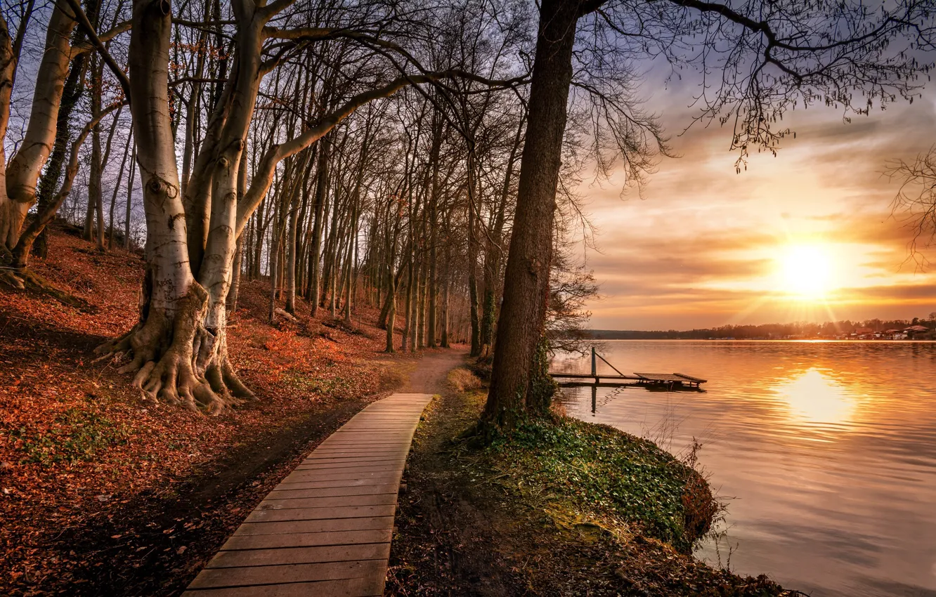 Photo wallpaper autumn, the sky, leaves, the sun, clouds, rays, light, trees