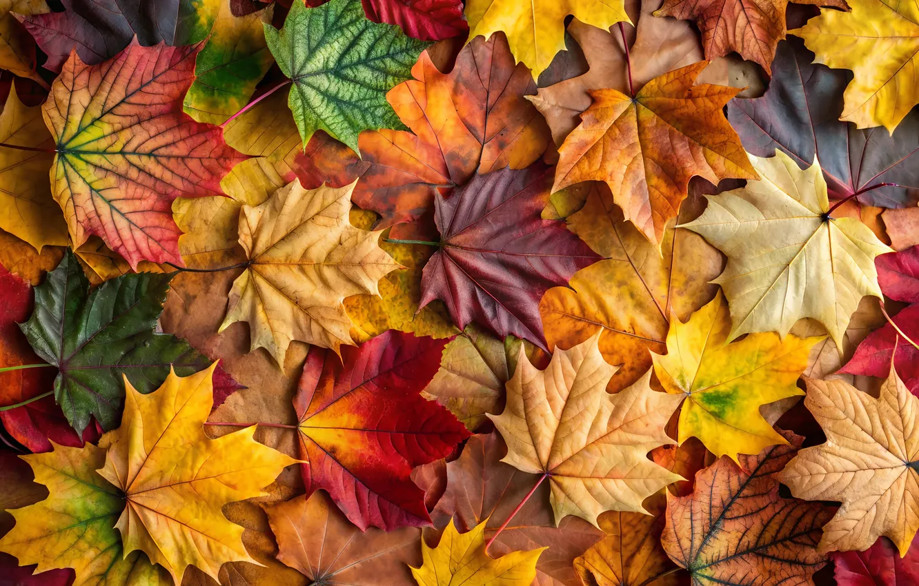 Photo wallpaper autumn, leaves, AI art