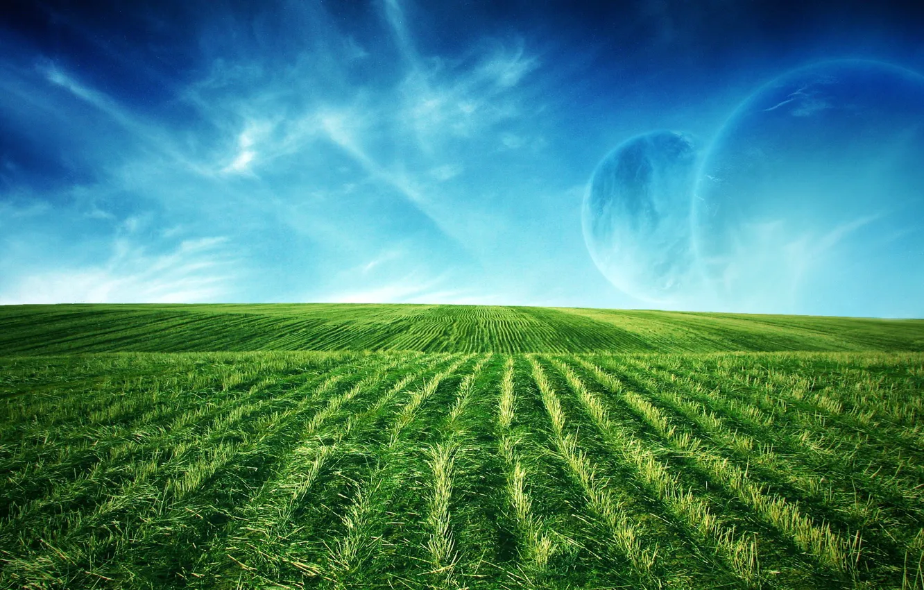 Photo wallpaper greens, field, the moon