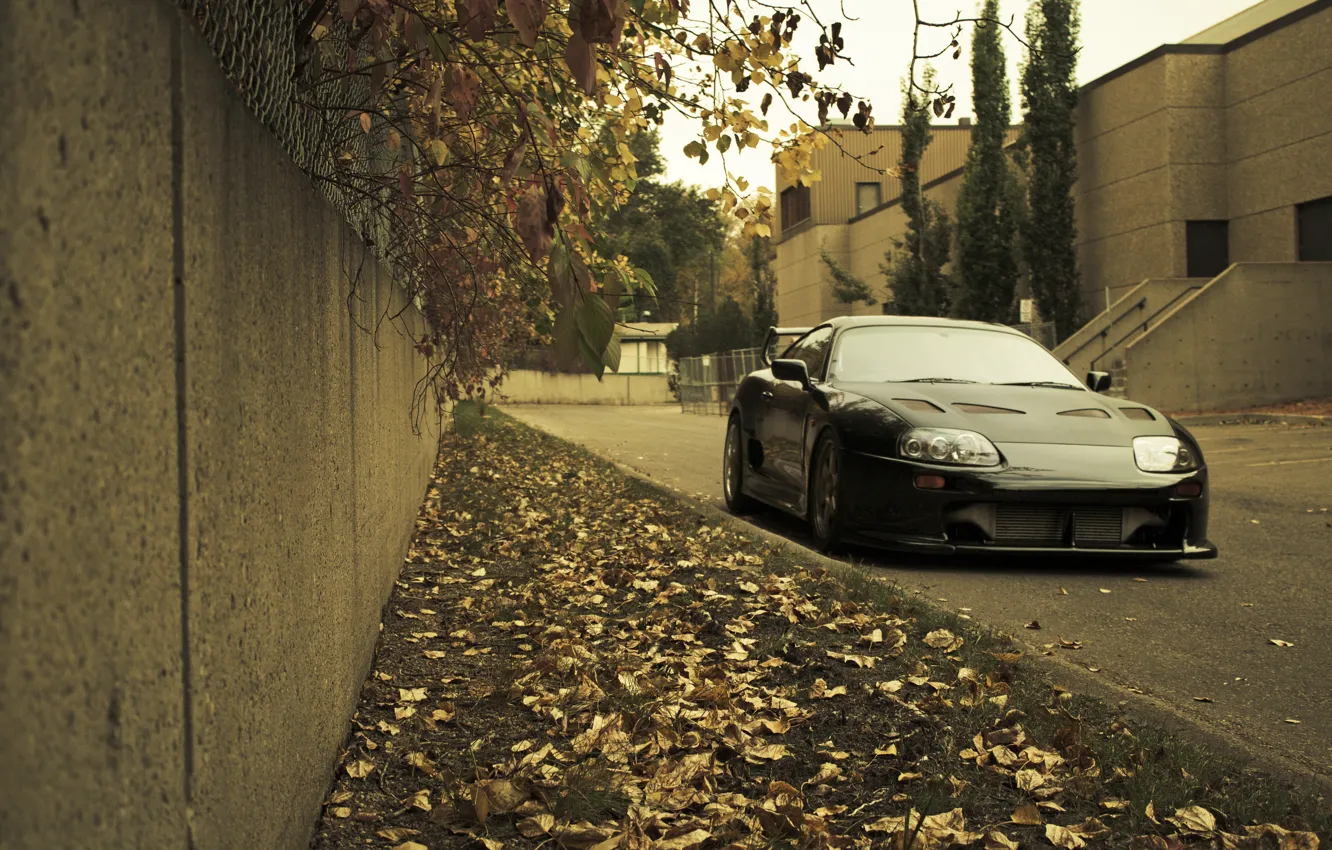 Photo wallpaper autumn, grass, leaves, city, the city, lawn, Toyota, cars