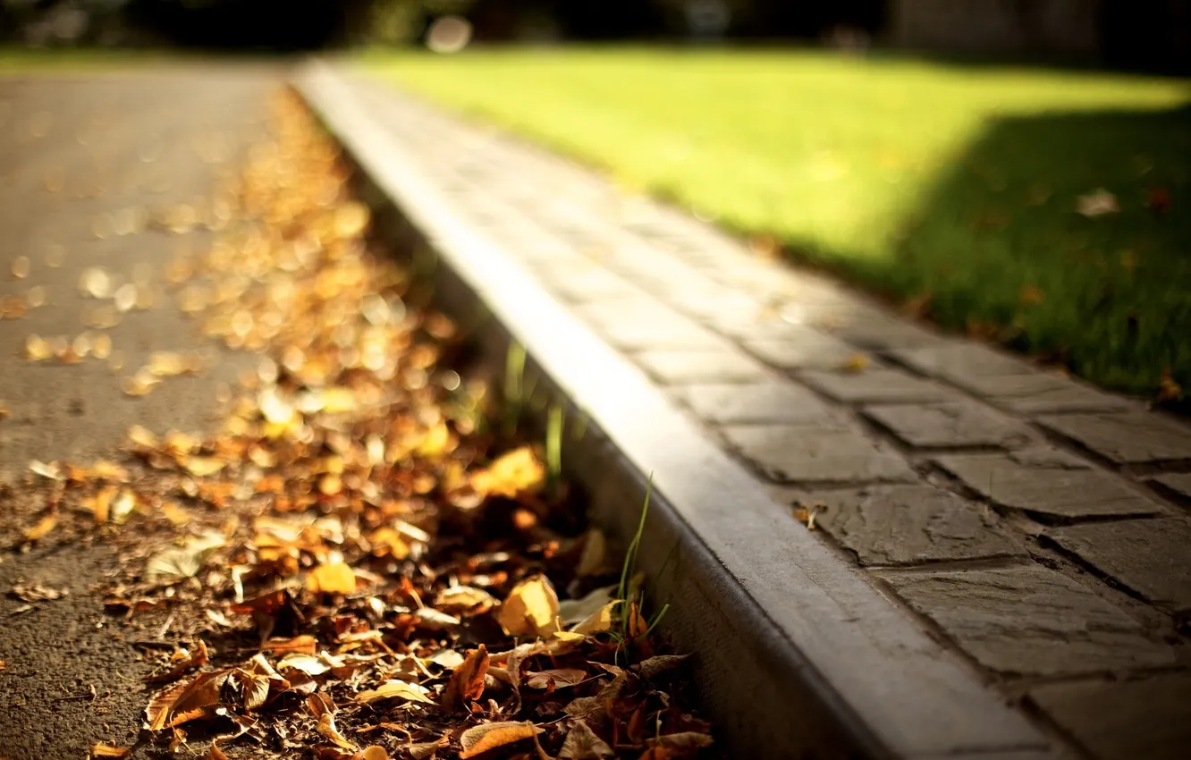 Photo wallpaper road, autumn, grass, leaves, the sun, macro, light, lawn