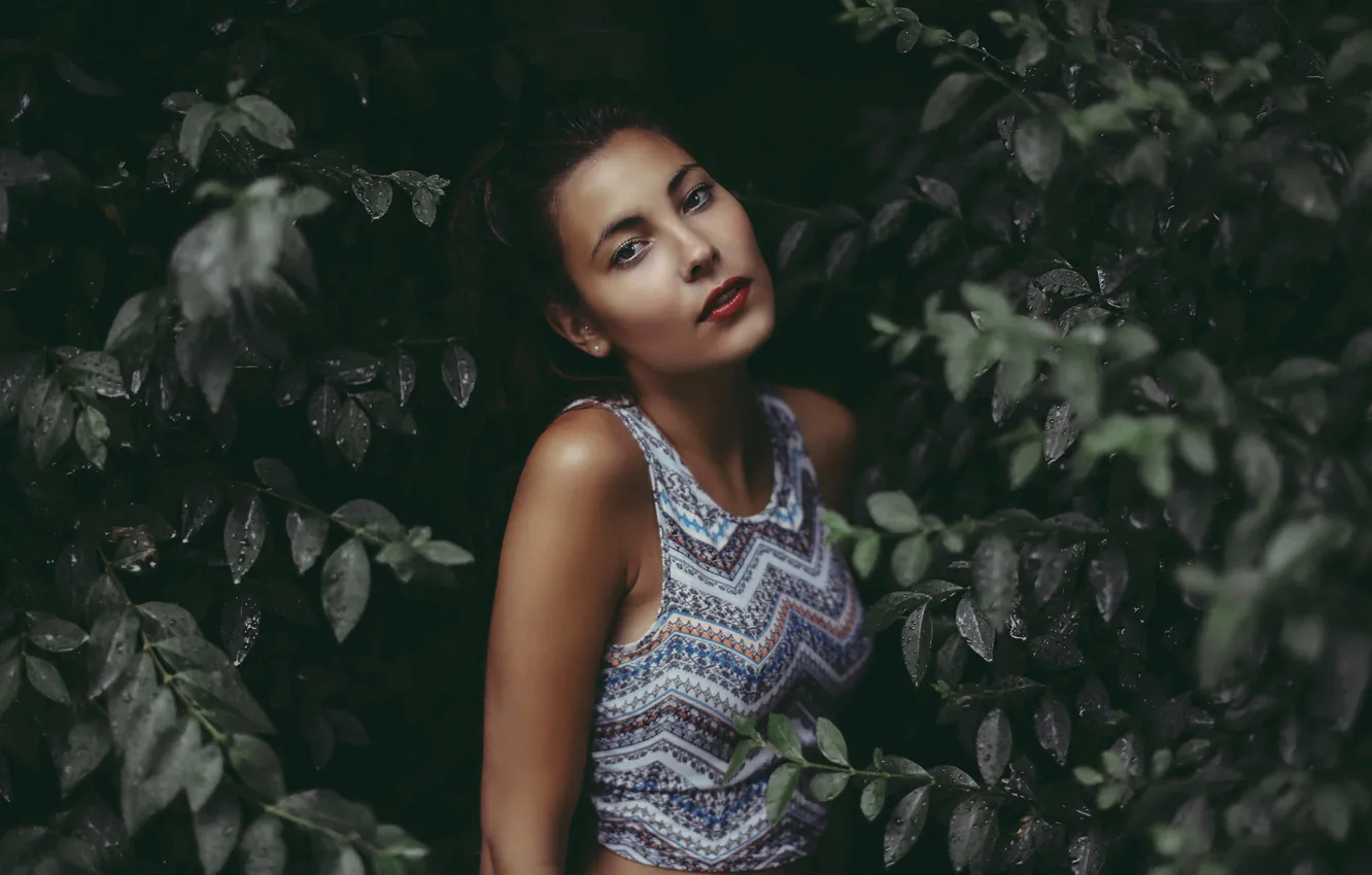 Photo wallpaper greens, chest, leaves, drops, makeup, Rain and pictures