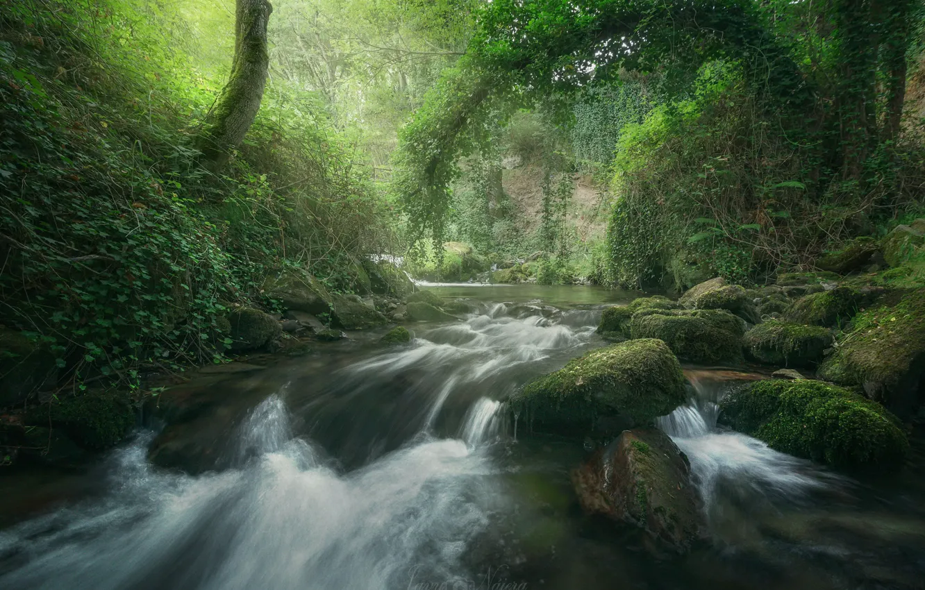 Photo wallpaper forest, river, stones, moss, Spain, cascade, Spain, La Rioja