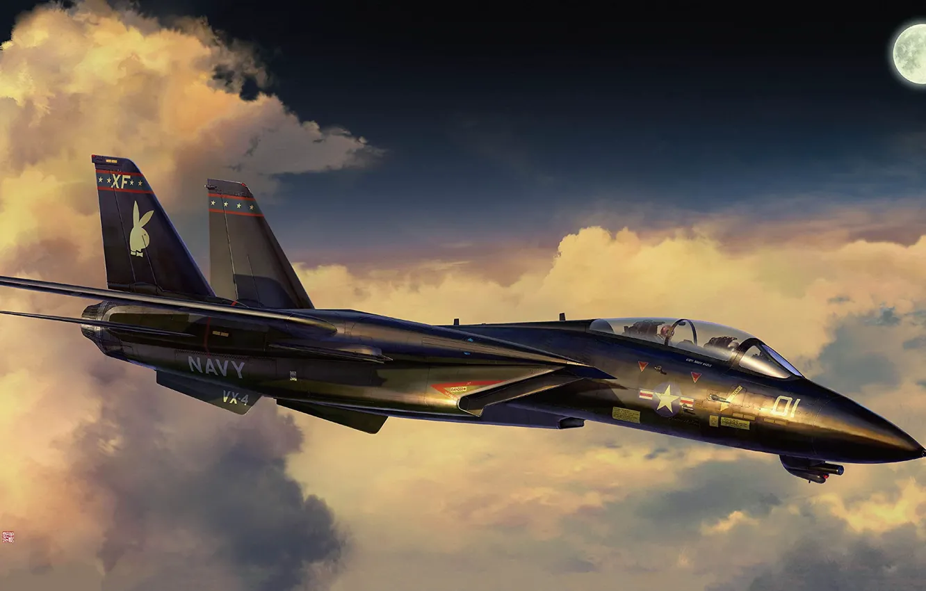 Photo wallpaper USA, Deck, fighter-interceptor, Grumman F-14 Tomcat, US NAVY, F-14A, Tankro Kato