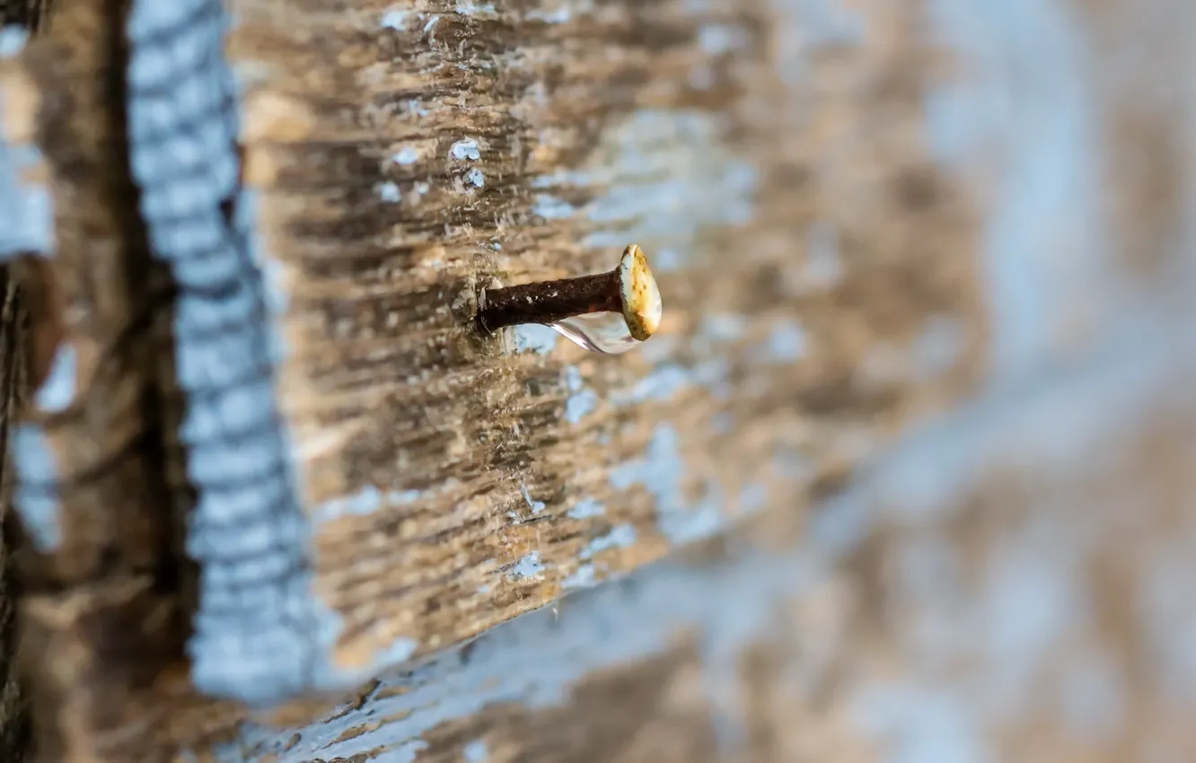 Photo wallpaper background, Board, nails