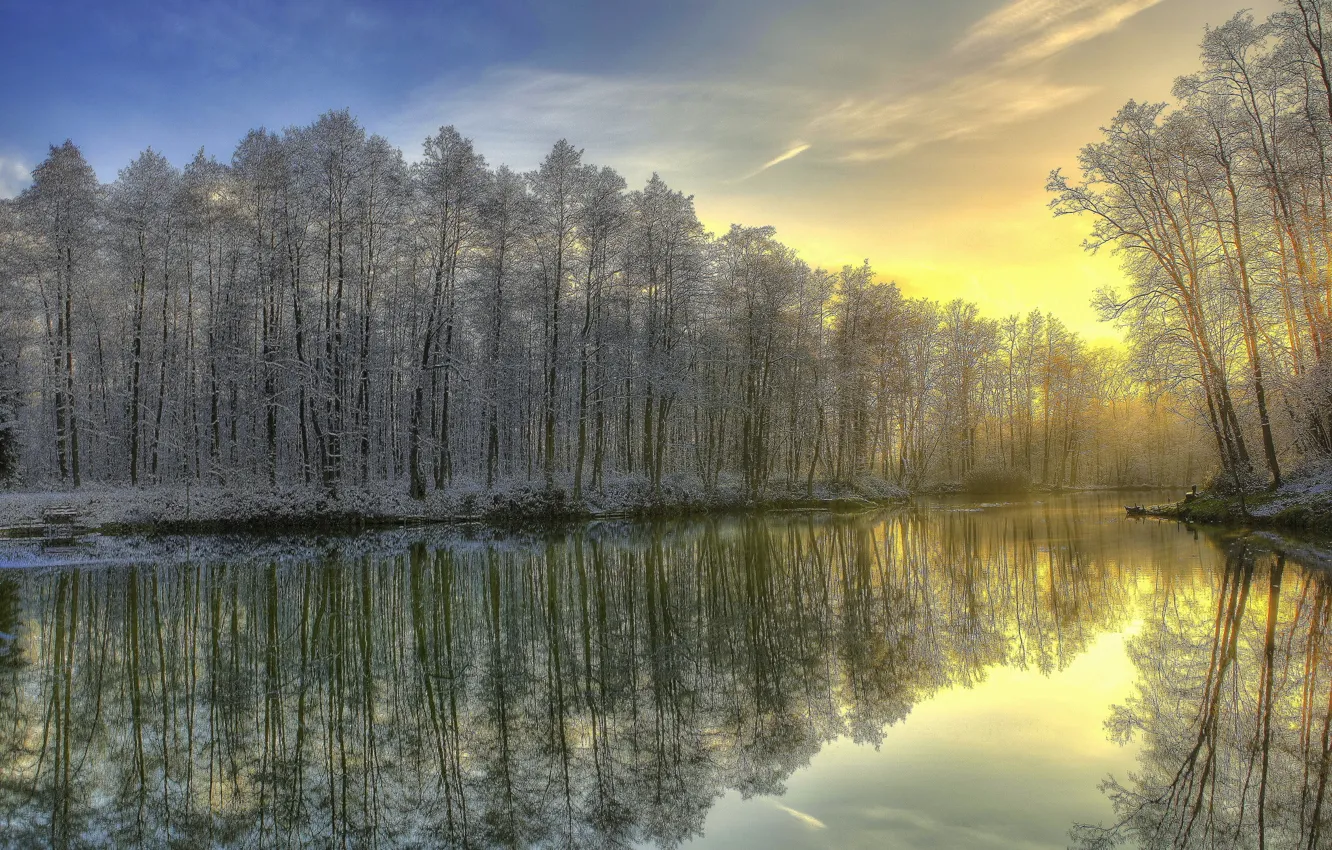 Photo wallpaper winter, frost, forest, river, sunrise, morning