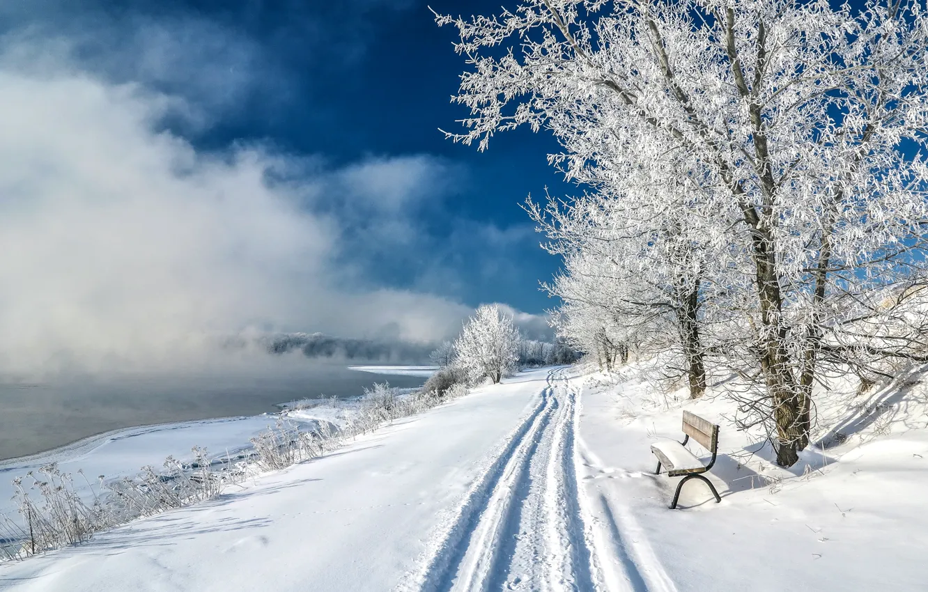 Photo wallpaper winter, snow, trees, lake, pond, Park, slope, bench
