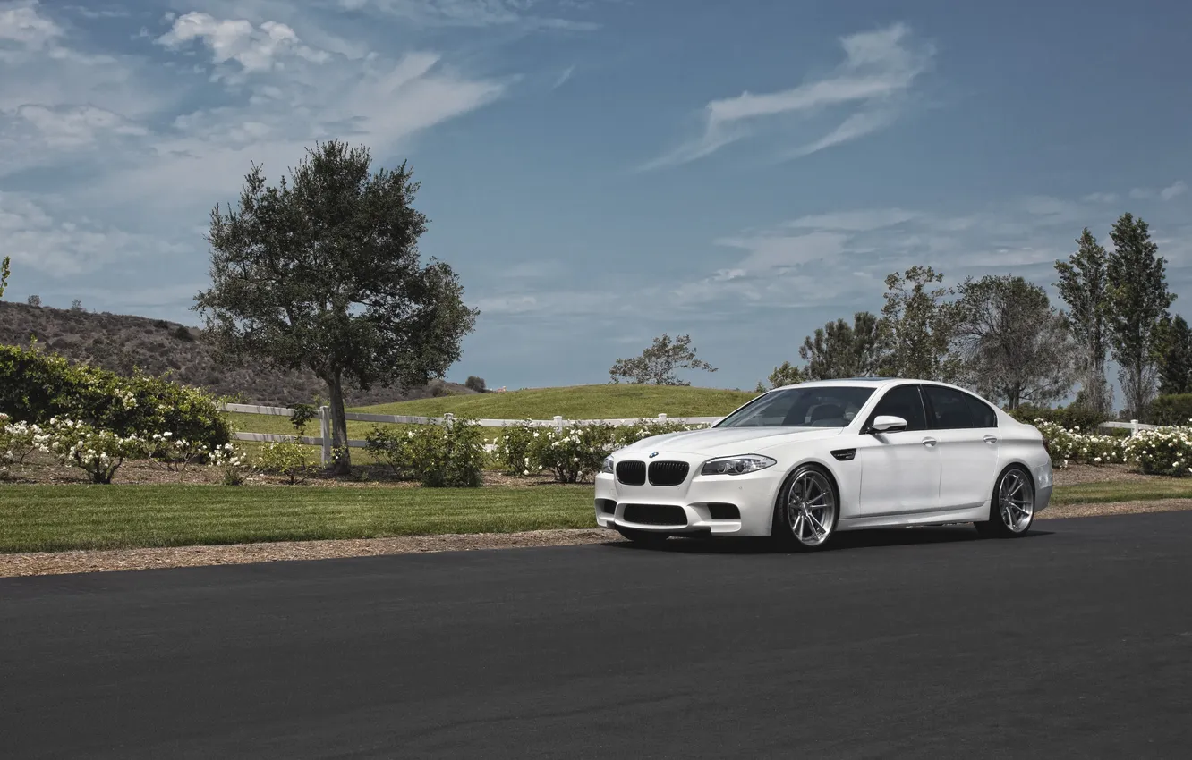 Photo wallpaper road, white, lawn, BMW, BMW, white, F10