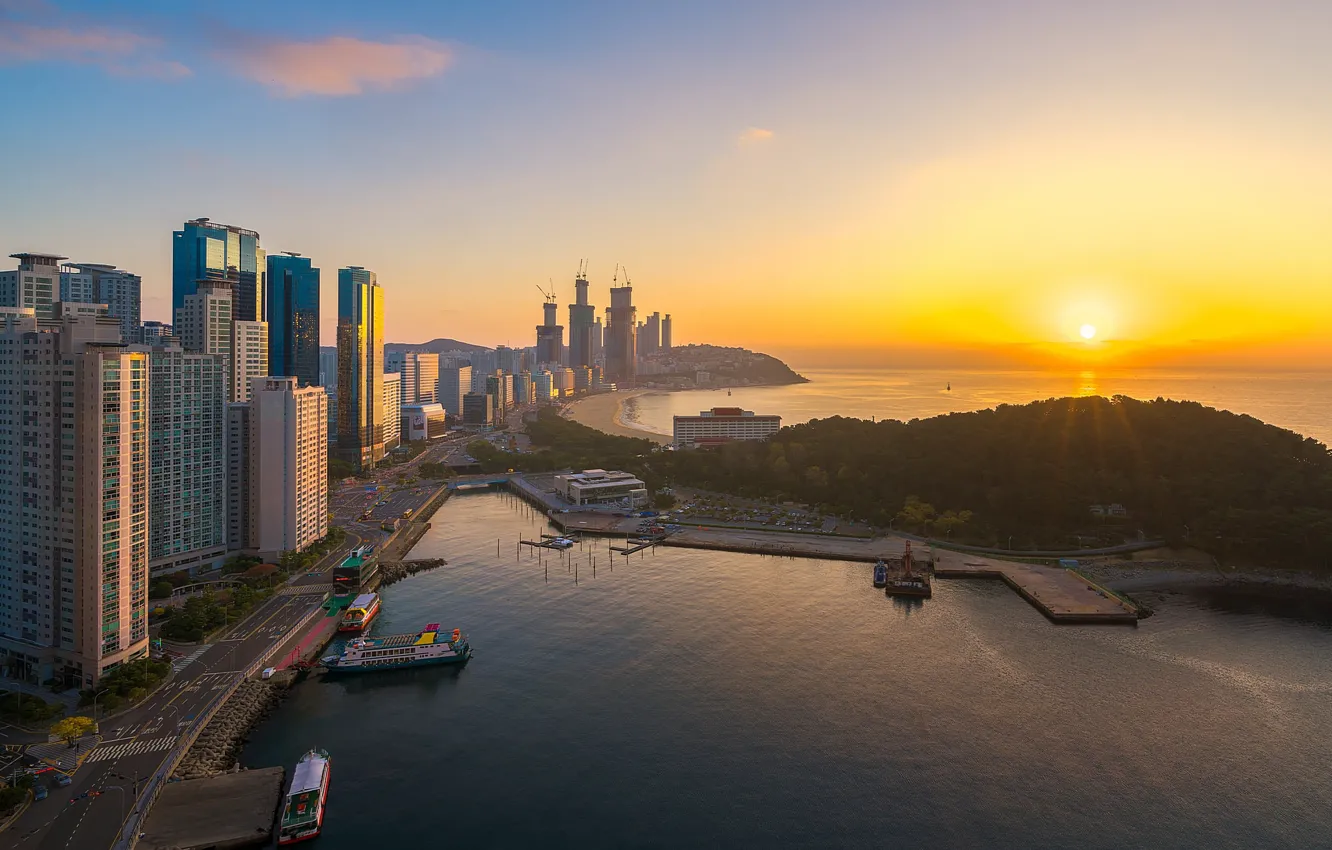 Photo wallpaper dawn, morning, South Korea, Busan, Busan