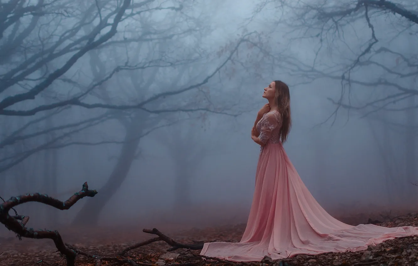 Photo wallpaper FOREST, LEAVES, DRESS, MOOD, AUTUMN, FOG, by Ilya Igoshev