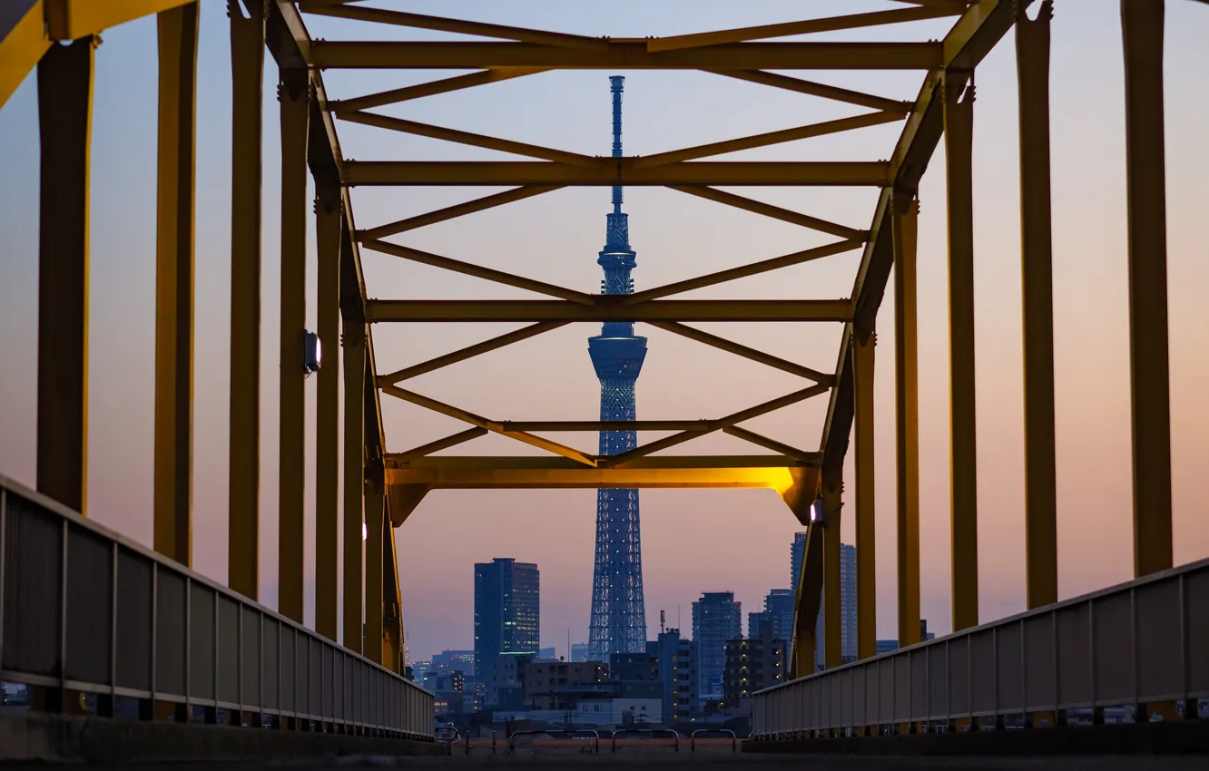 Photo wallpaper bridge, the city, tower