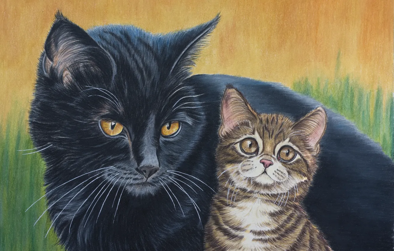 Photo wallpaper cat, nature, black, kitty, brown