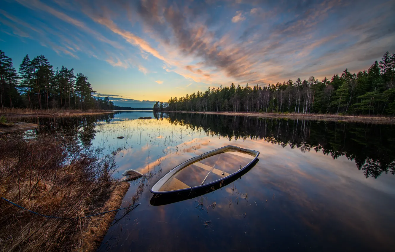 Photo wallpaper forest, the sky, clouds, branches, lake, reflection, blue, shore