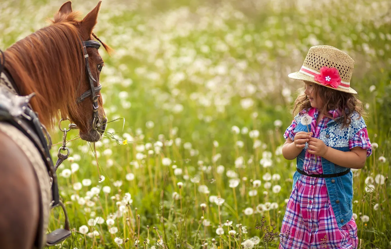 Photo wallpaper field, grass, flowers, nature, horse, child