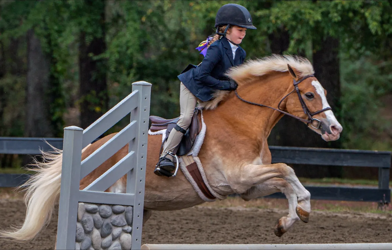 Photo wallpaper sport, horse, girl, horse, Sport, little girl, jump, Gallop