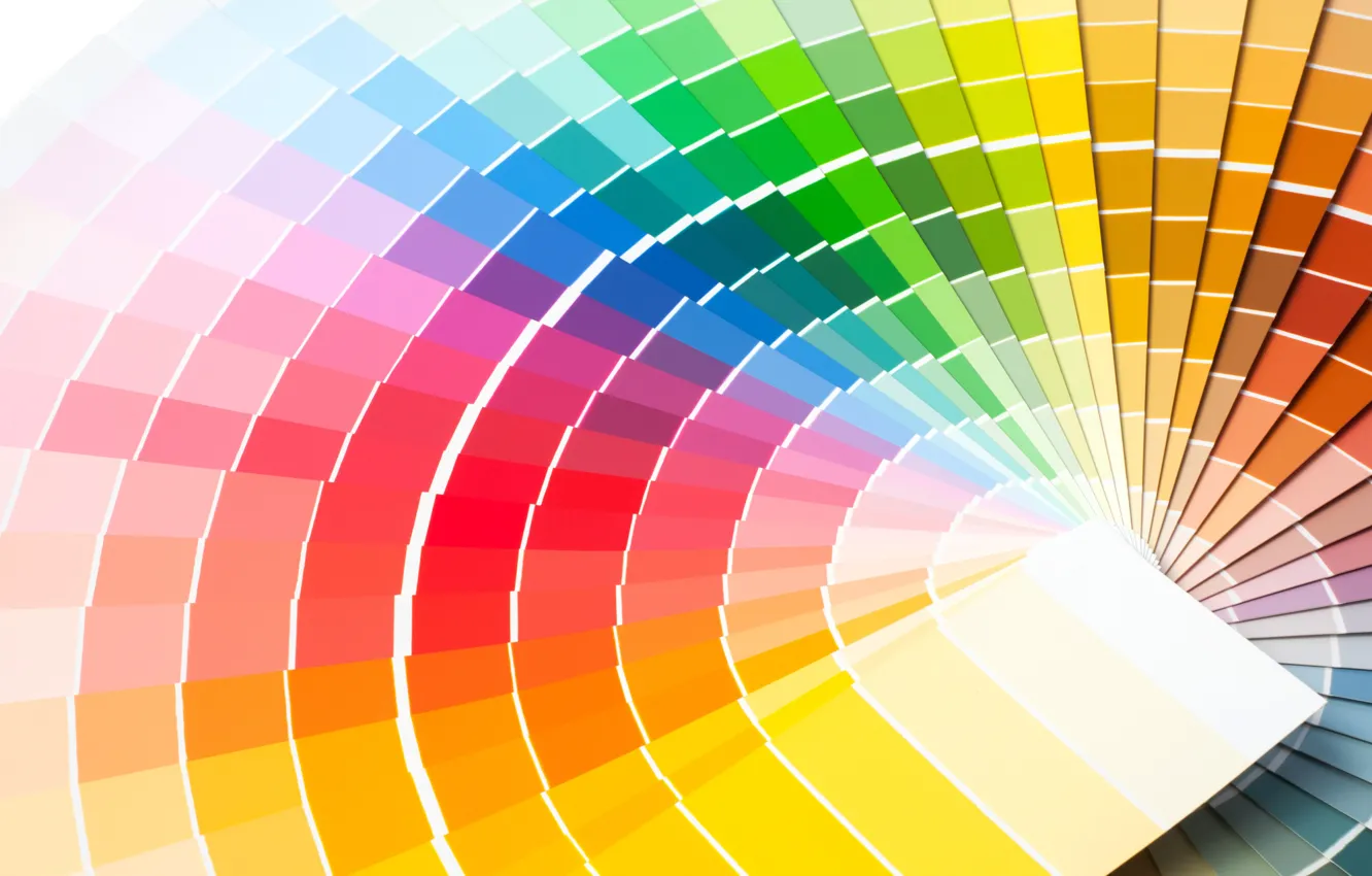 Photo wallpaper colors, design, template colors