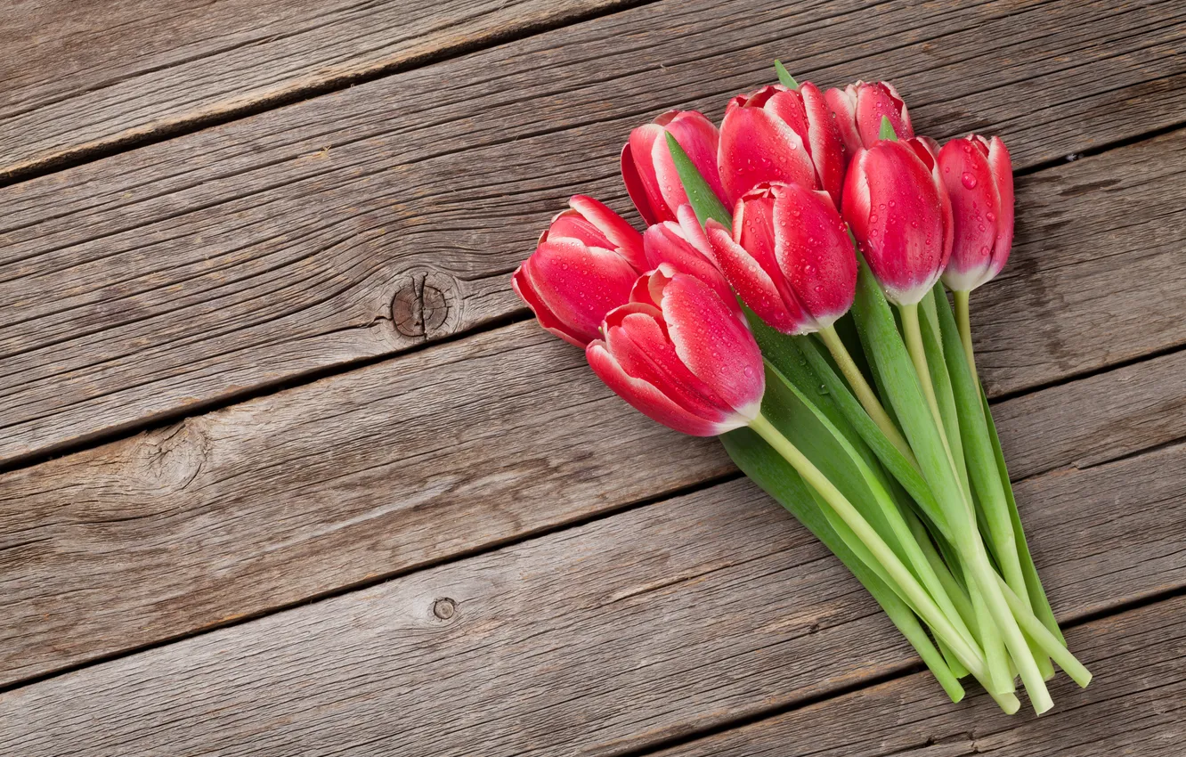 Photo wallpaper flowers, bouquet, tulips, red, red, wood, flowers, romantic
