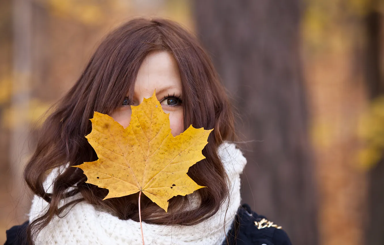 Photo wallpaper leaves, girl, autumn