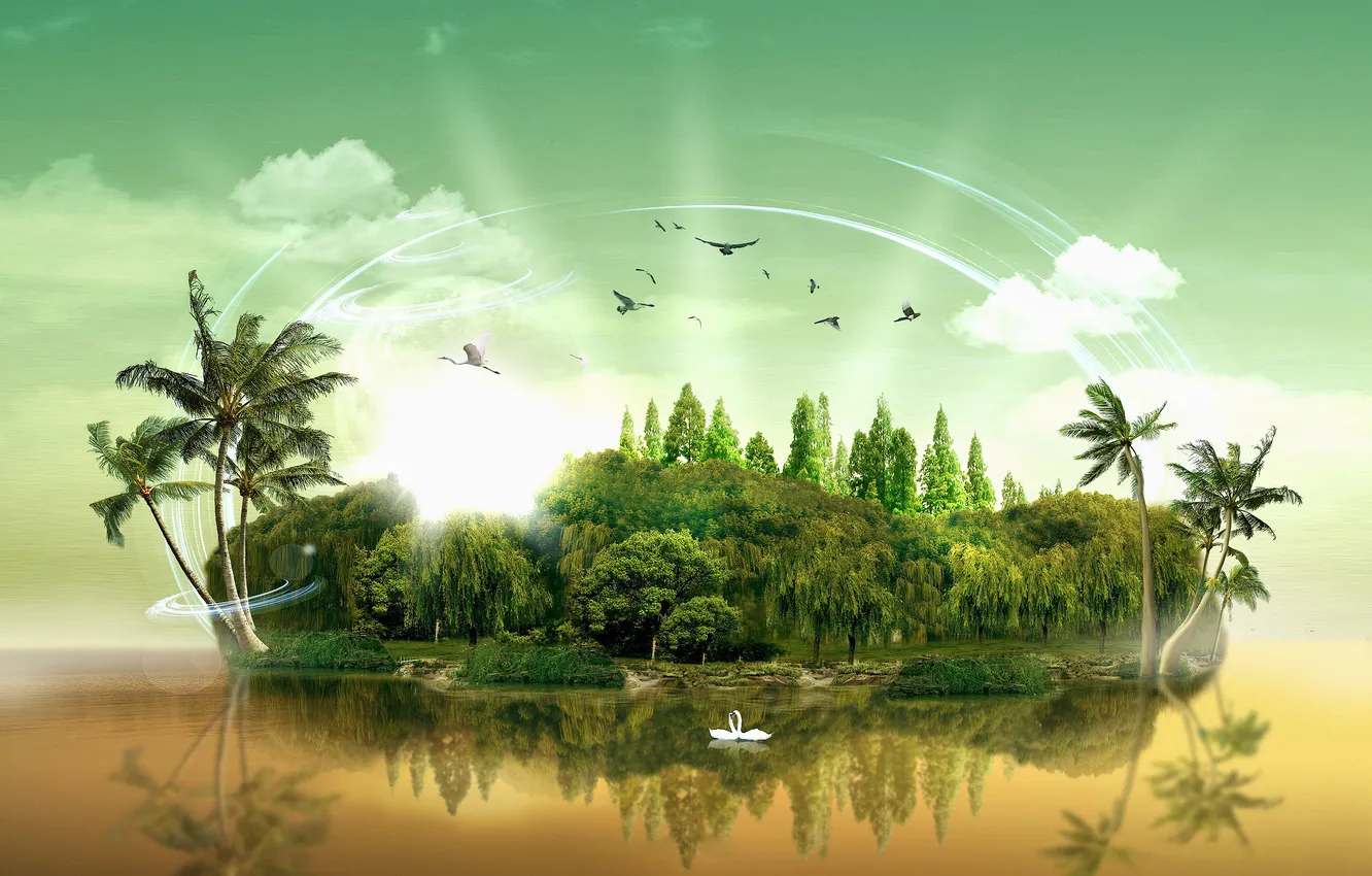 Photo wallpaper island, swans, Island Paradise