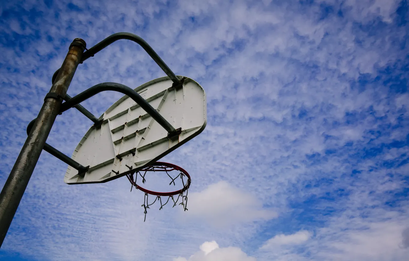 Photo wallpaper sport, shield, Basketball Dreams